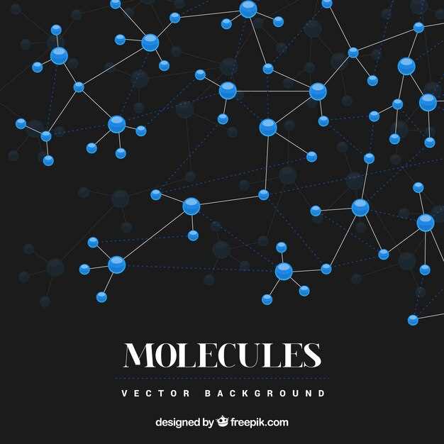 Understanding the mechanism