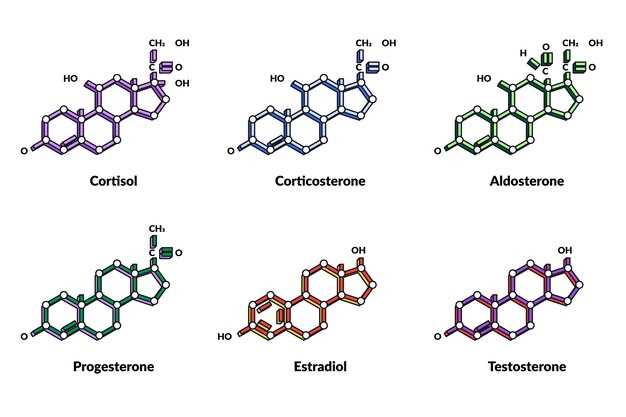 Possible Side Effects and Precautions