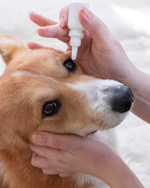 Generic levothyroxine for dogs