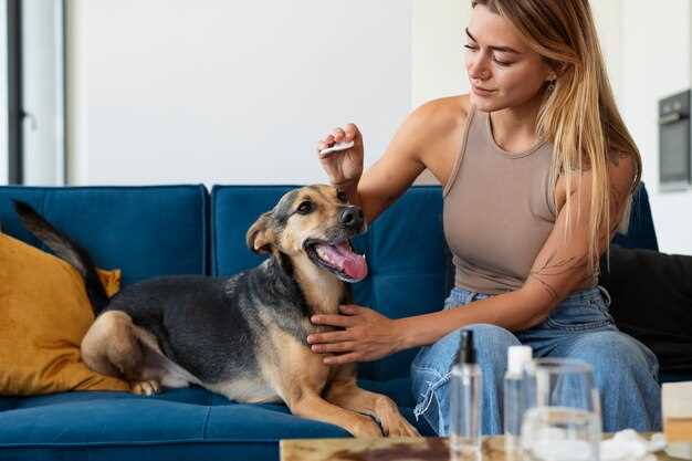 Levothyroxine dosing in dogs