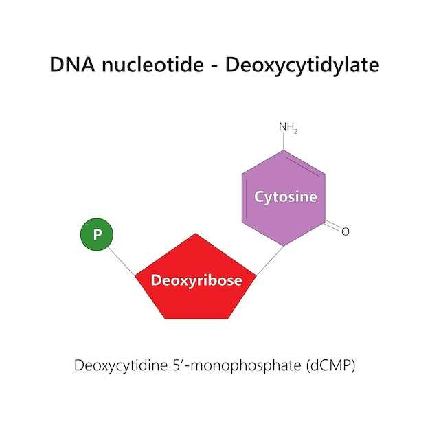 Protonix and levothyroxine