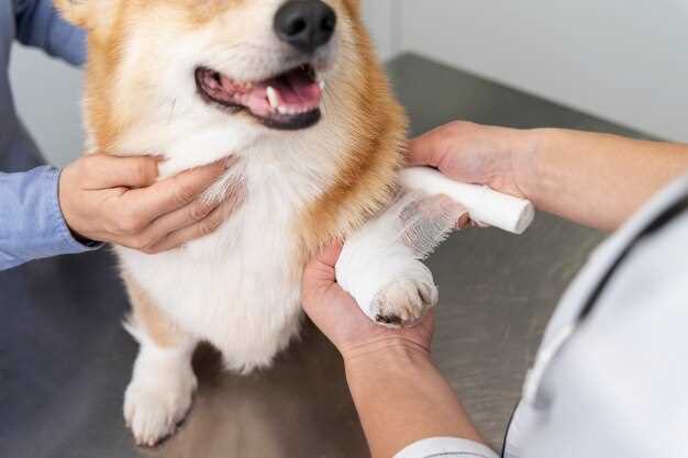 Sodium levothyroxine for dogs